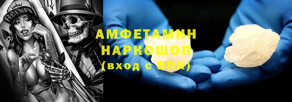 стаф Аркадак