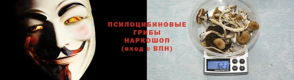 стаф Аркадак