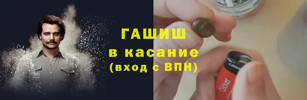 стаф Аркадак
