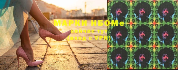 стаф Аркадак